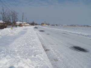 iarna-2010-036