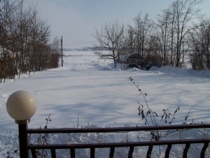 iarna-2010-050