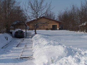 iarna-2010-038