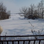 iarna-2010-050