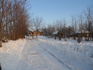 DSCN1022