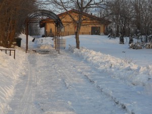 DSCN1023