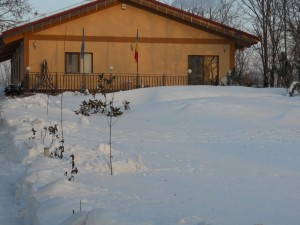 DSCN1024