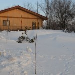 DSCN1027