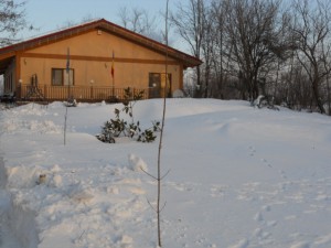 DSCN1027
