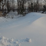 DSCN1029