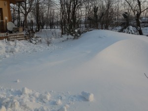 DSCN1029