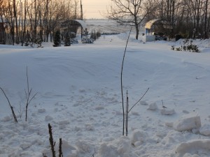DSCN1030