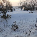 DSCN1031