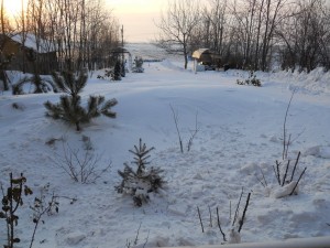DSCN1031