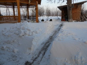 DSCN1032