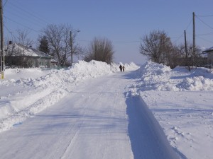 DSCN1036