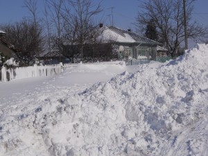 DSCN1037