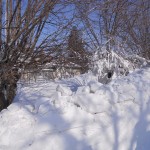 DSCN1040