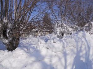 DSCN1040