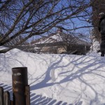 DSCN1045