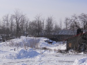 DSCN1050