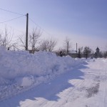 DSCN1061