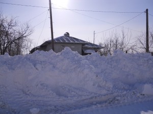 DSCN1062