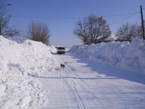 DSCN1063