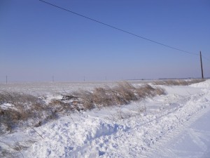 DSCN1069