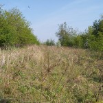 cabinet_nou_001a